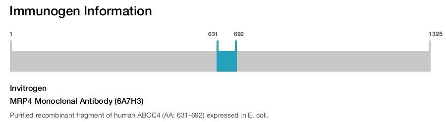 MRP4 Monoclonal Antibody (6A7H3)
