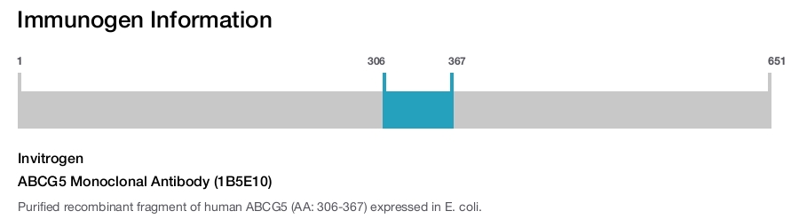 ABCG5 Monoclonal Antibody (1B5E10)