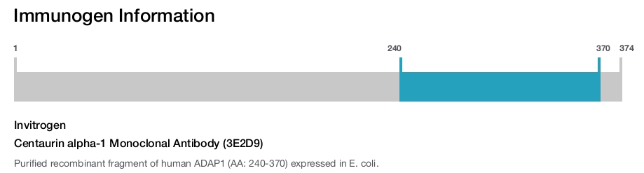 Centaurin alpha-1 Monoclonal Antibody (3E2D9)