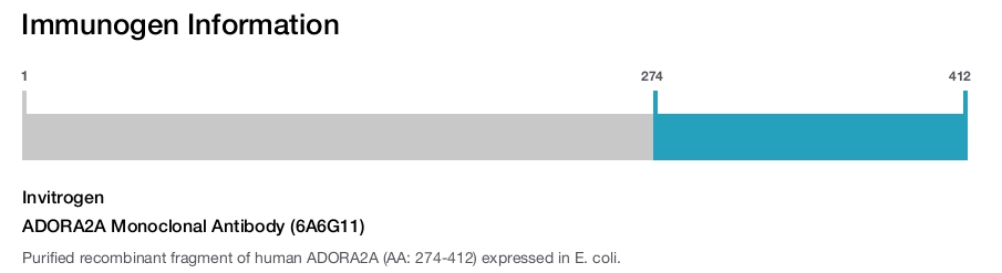 ADORA2A Monoclonal Antibody (6A6G11)