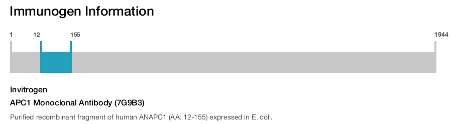 APC1 Monoclonal Antibody (7G9B3)