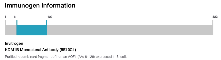 KDM1B Monoclonal Antibody (5E10C1)