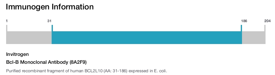 Bcl-B Monoclonal Antibody (8A2F9)