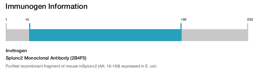 Splunc2 Monoclonal Antibody (2B4F5)