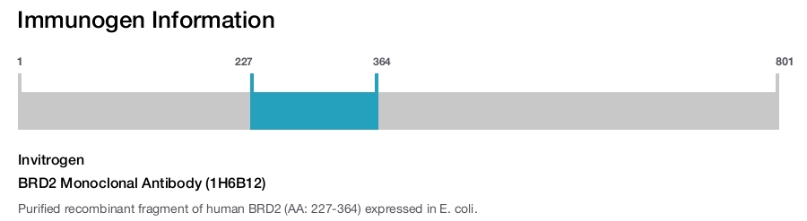 BRD2 Monoclonal Antibody (1H6B12)