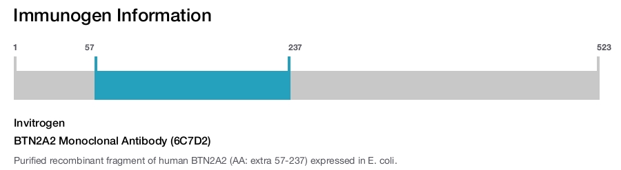 BTN2A2 Monoclonal Antibody (6C7D2)