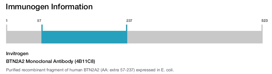 BTN2A2 Monoclonal Antibody (4B11C8)