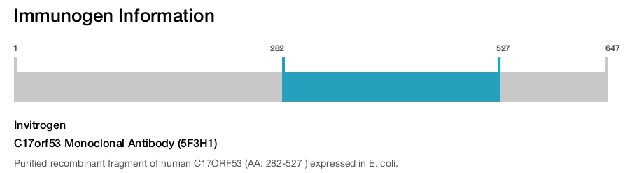C17orf53 Monoclonal Antibody (5F3H1)
