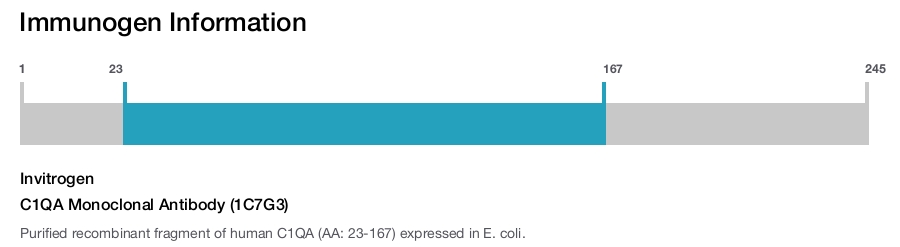 C1QA Monoclonal Antibody (1C7G3)