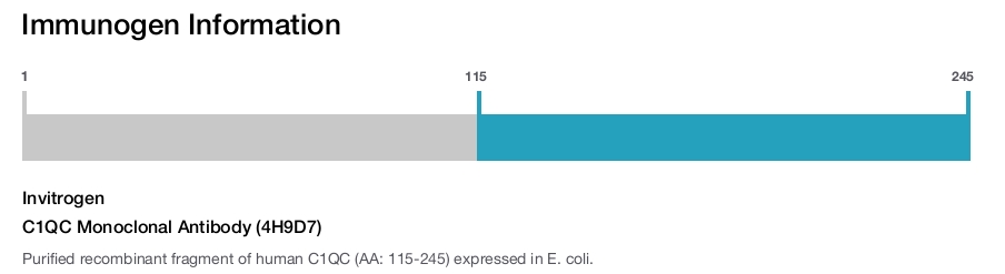 C1QC Monoclonal Antibody (4H9D7)