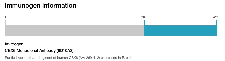 CBX6 Monoclonal Antibody (8D10A3)