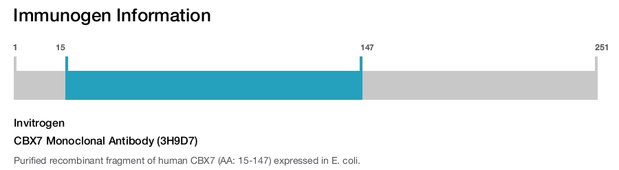 CBX7 Monoclonal Antibody (3H9D7)