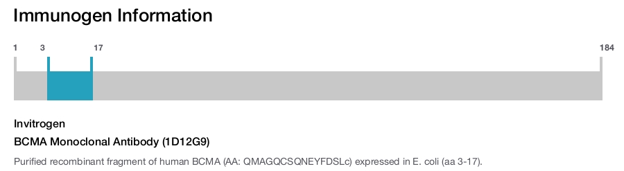 BCMA Monoclonal Antibody (1D12G9)