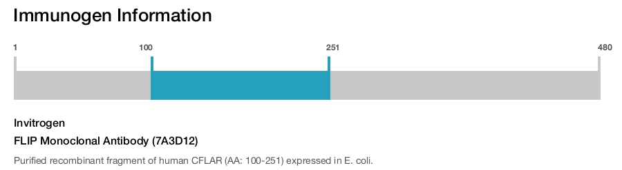 FLIP Monoclonal Antibody (7A3D12)