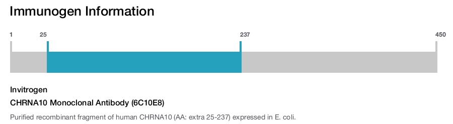 CHRNA10 Monoclonal Antibody (6C10E8)