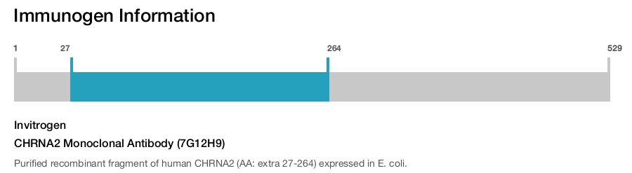 CHRNA2 Monoclonal Antibody (7G12H9)