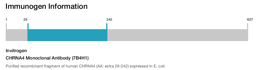 CHRNA4 Monoclonal Antibody (7B4H1)