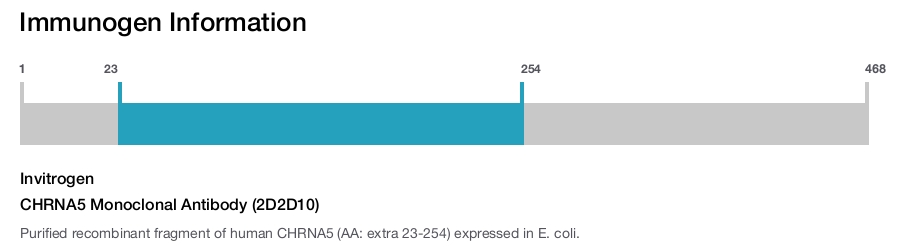 CHRNA5 Monoclonal Antibody (2D2D10)