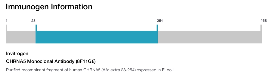 CHRNA5 Monoclonal Antibody (8F11G8)