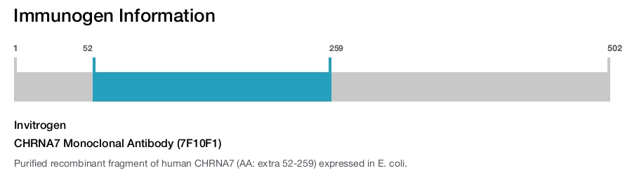 CHRNA7 Monoclonal Antibody (7F10F1)