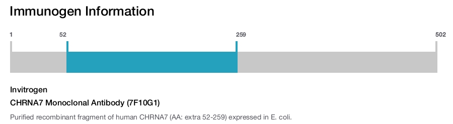 CHRNA7 Monoclonal Antibody (7F10G1)