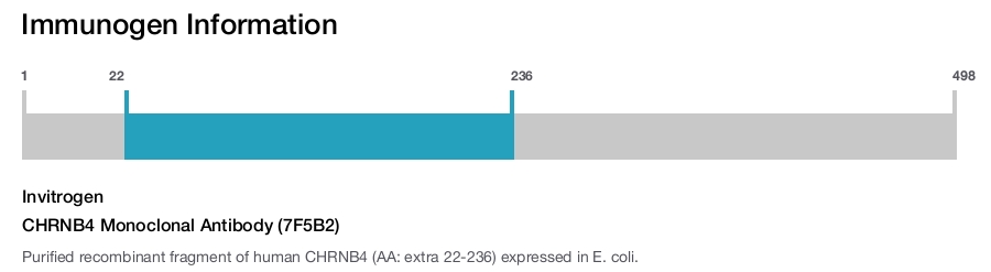 CHRNB4 Monoclonal Antibody (7F5B2)