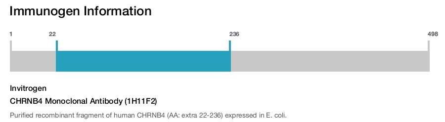 CHRNB4 Monoclonal Antibody (1H11F2)