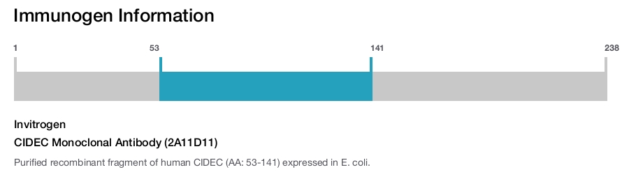 CIDEC Monoclonal Antibody (2A11D11)