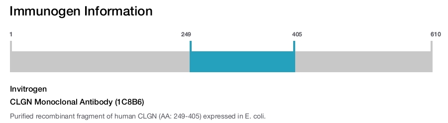 CLGN Monoclonal Antibody (1C8B6)
