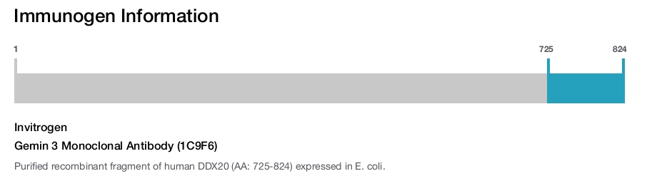 Gemin 3 Monoclonal Antibody (1C9F6)