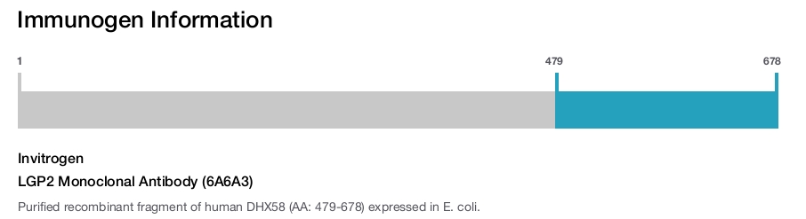 LGP2 Monoclonal Antibody (6A6A3)