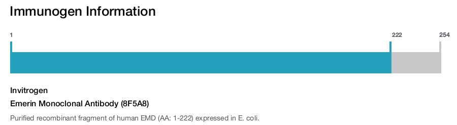 Emerin Monoclonal Antibody (8F5A8)