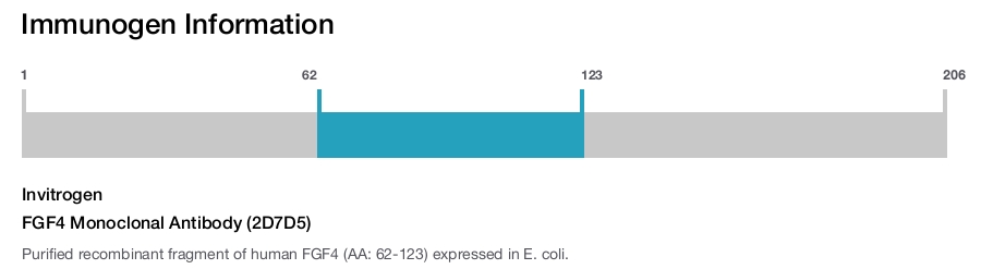 FGF4 Monoclonal Antibody (2D7D5)