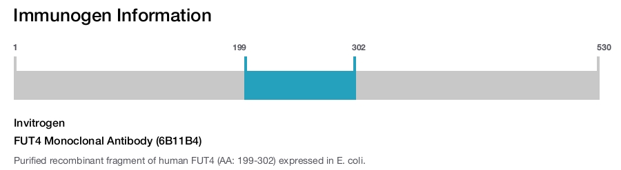 FUT4 Monoclonal Antibody (6B11B4)