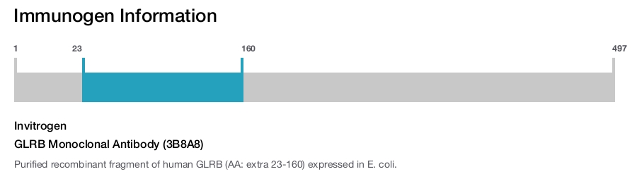GLRB Monoclonal Antibody (3B8A8)