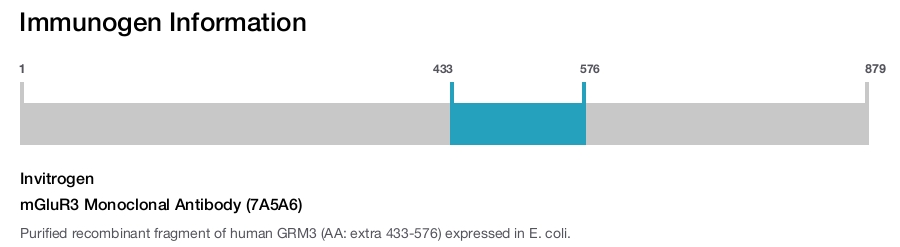 mGluR3 Monoclonal Antibody (7A5A6)
