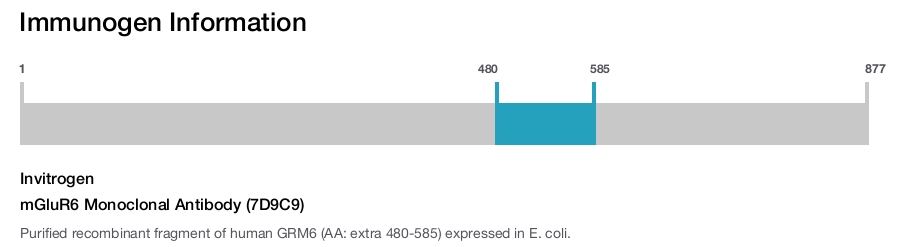 mGluR6 Monoclonal Antibody (7D9C9)