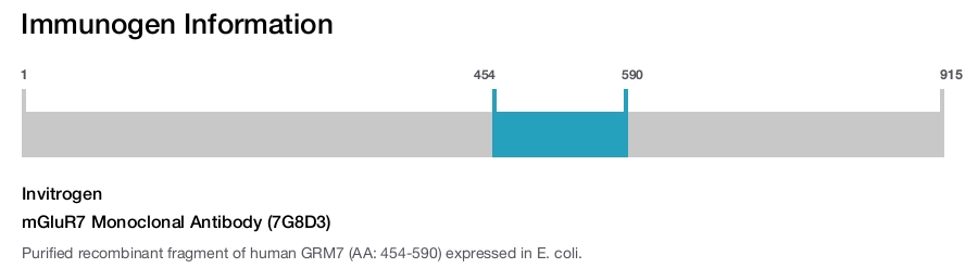 mGluR7 Monoclonal Antibody (7G8D3)
