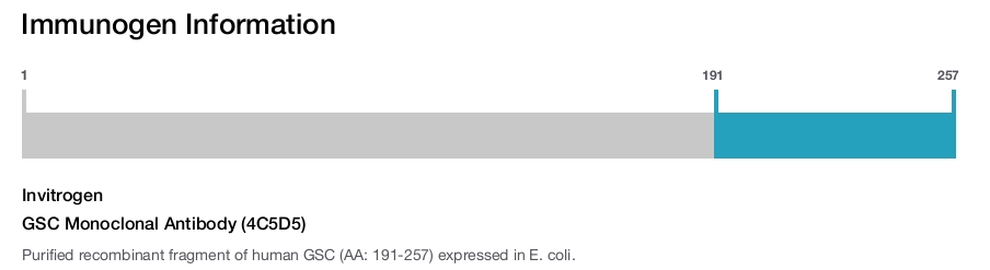 GSC Monoclonal Antibody (4C5D5)