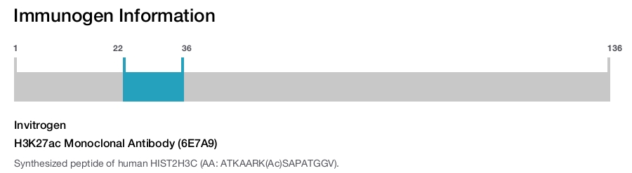H3K27ac Monoclonal Antibody (6E7A9)
