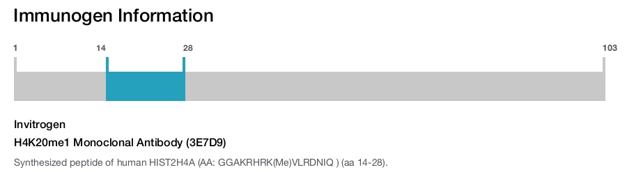 H4K20me1 Monoclonal Antibody (3E7D9)
