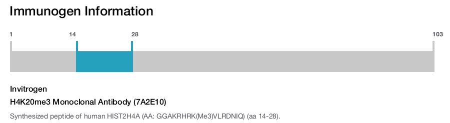 H4K20me3 Monoclonal Antibody (7A2E10)