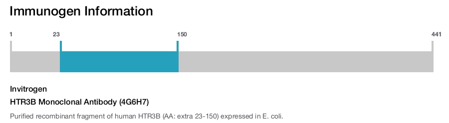 HTR3B Monoclonal Antibody (4G6H7)