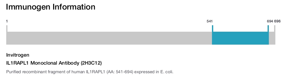 IL1RAPL1 Monoclonal Antibody (2H3C12)
