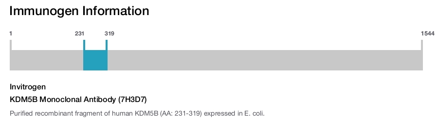 KDM5B Monoclonal Antibody (7H3D7)