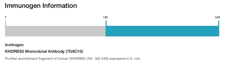 KHDRBS2 Monoclonal Antibody (7G8C10)
