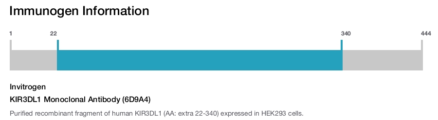 KIR3DL1 Monoclonal Antibody (6D9A4)