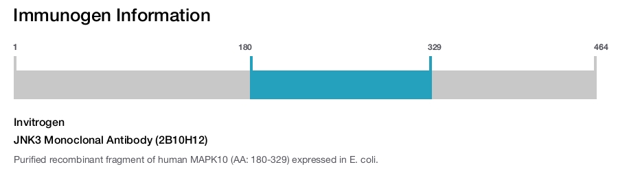 JNK3 Monoclonal Antibody (2B10H12)