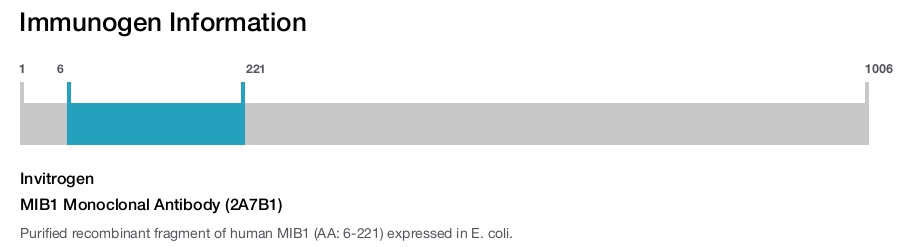 MIB1 Monoclonal Antibody (2A7B1)