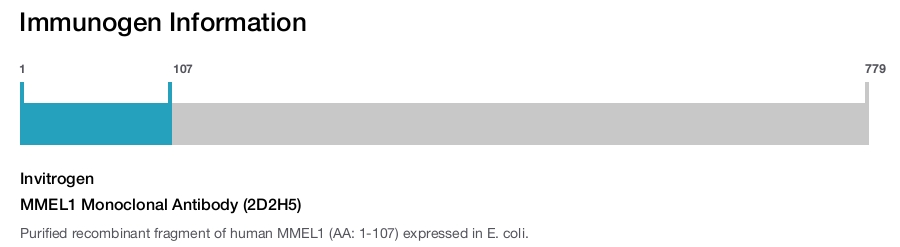 MMEL1 Monoclonal Antibody (2D2H5)